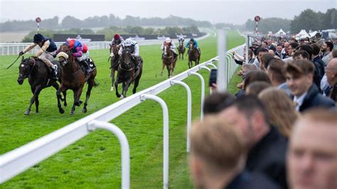 Live: Goodwood Racing Tips, Fast Results, Racecards & Odds.